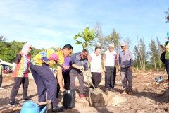 mucang-mucang-PL-111