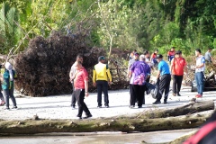 mucang-mucang-PL-217